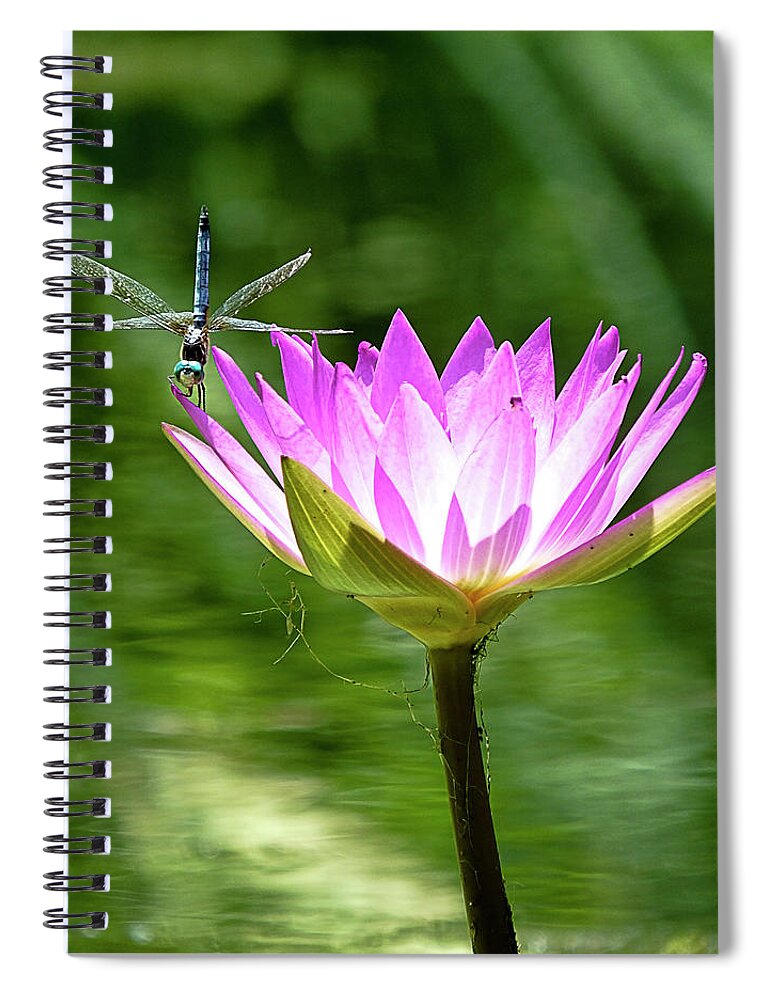 Dragonfly Spiral Notebook featuring the photograph Dragon and Lily by Bill Barber
