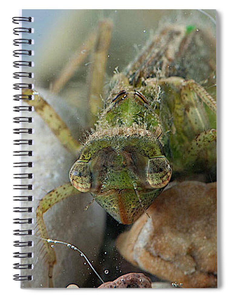 Dragon Fly Spiral Notebook featuring the photograph Dragon in a puddle by Charles Robinson