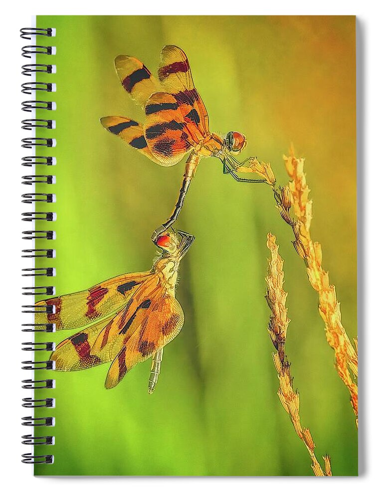 Dragonfly Spiral Notebook featuring the photograph Dragonflies by Steve DaPonte