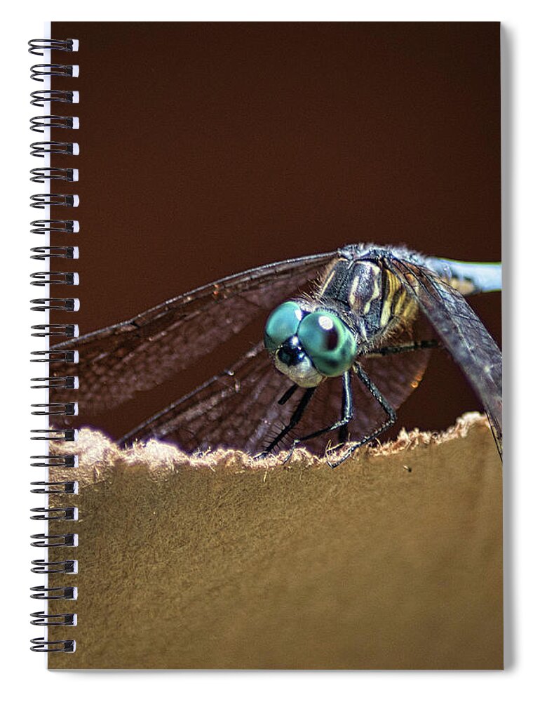 Insect Spiral Notebook featuring the photograph Dragonfly Eyes by Portia Olaughlin