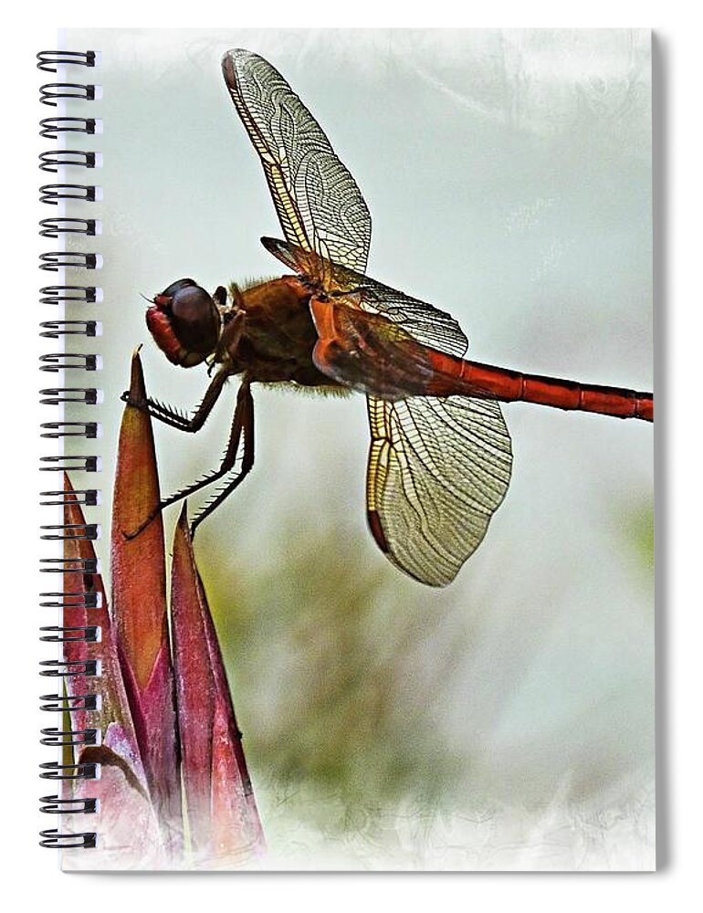 Dragonfly Spiral Notebook featuring the photograph Dragonfly with vignette by Bill Barber