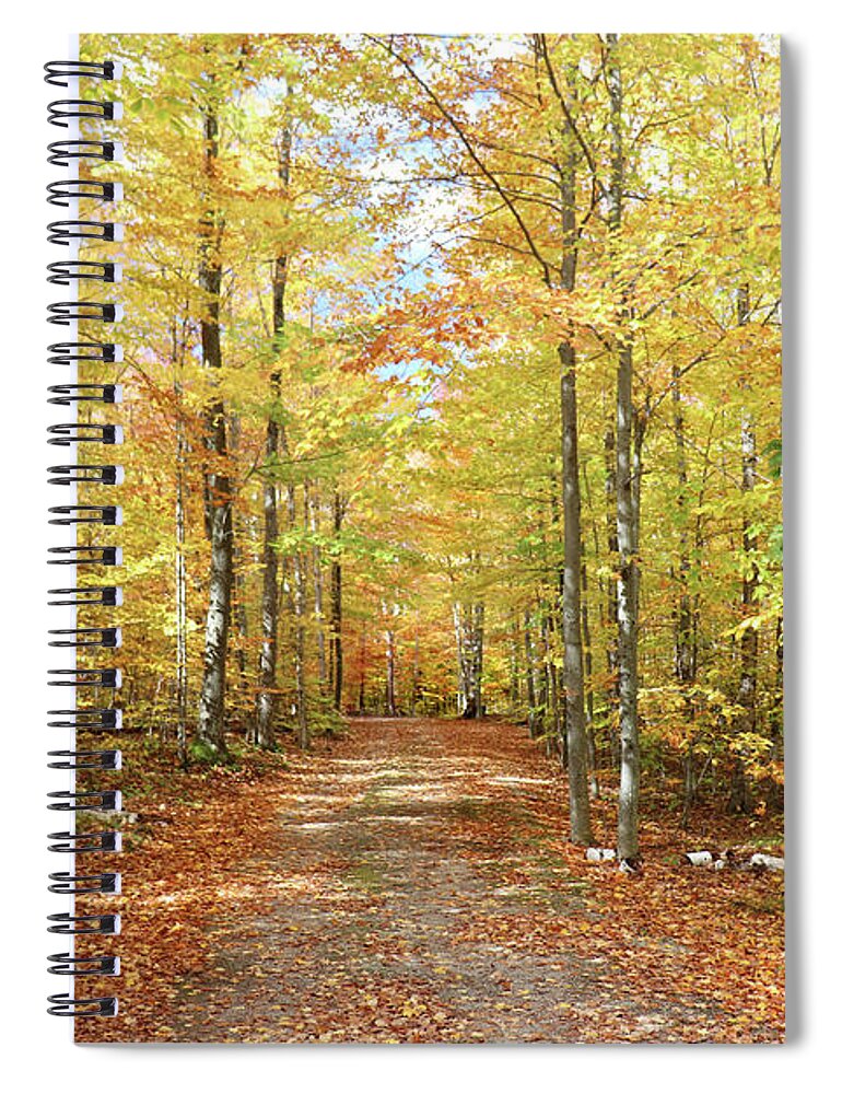Back Road Spiral Notebook featuring the photograph Drawn Into The Woods by David T Wilkinson