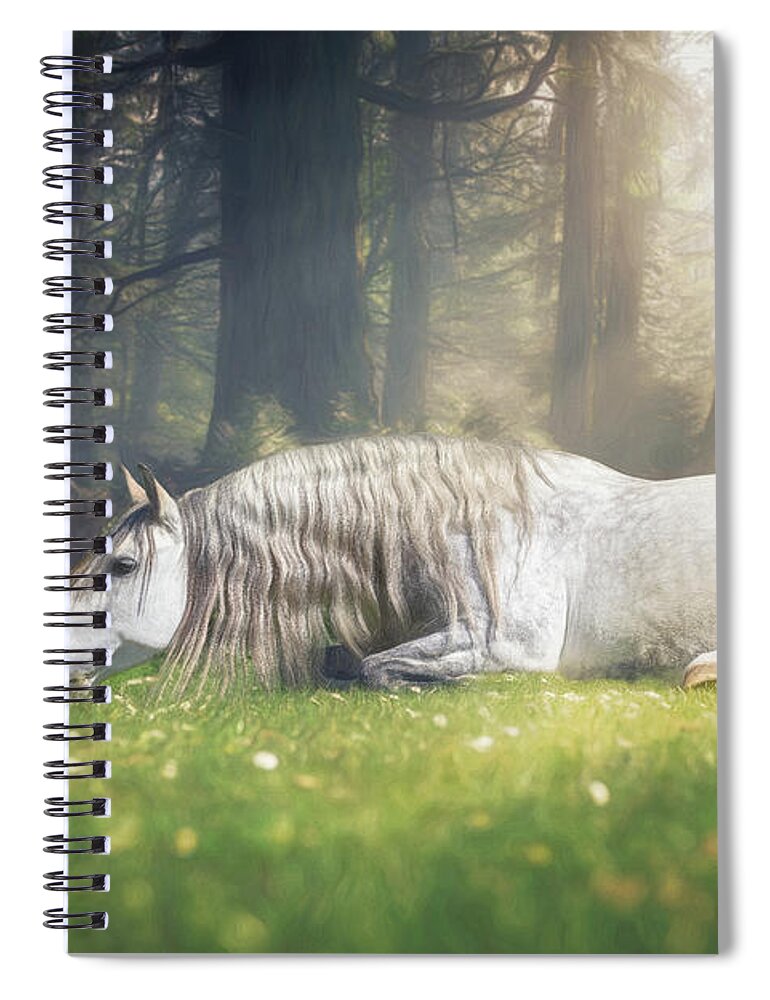 Horse Spiral Notebook featuring the photograph Dream impossible things by Lisa Saint