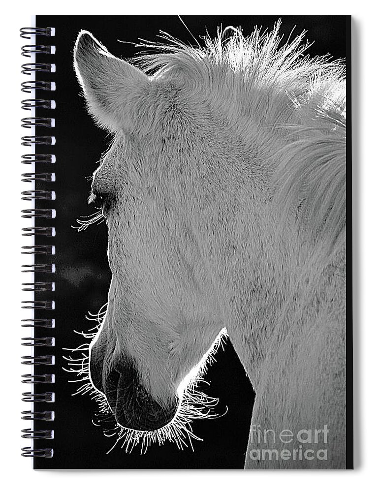 Salt River Wild Horse Spiral Notebook featuring the digital art Dreamer by Tammy Keyes