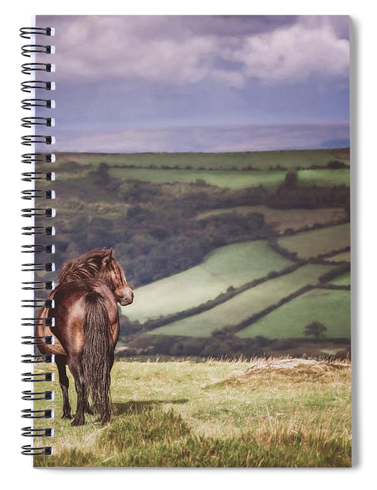 Horse Spiral Notebook featuring the photograph Dreaming Alone - Horse Art by Lisa Saint
