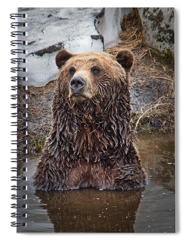 Nature Spiral Notebook featuring the photograph Dreaming in the Bath by Judy Cuddehe