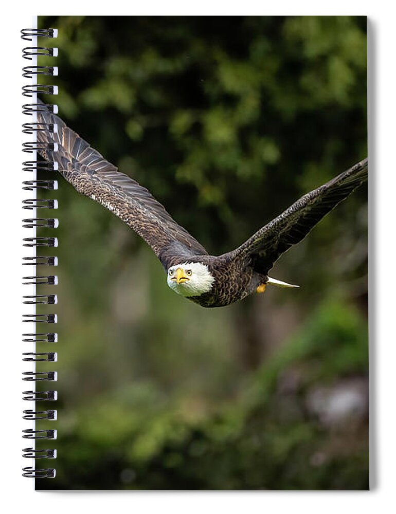 David Eppley Spiral Notebook featuring the photograph Dreamscape by David Eppley