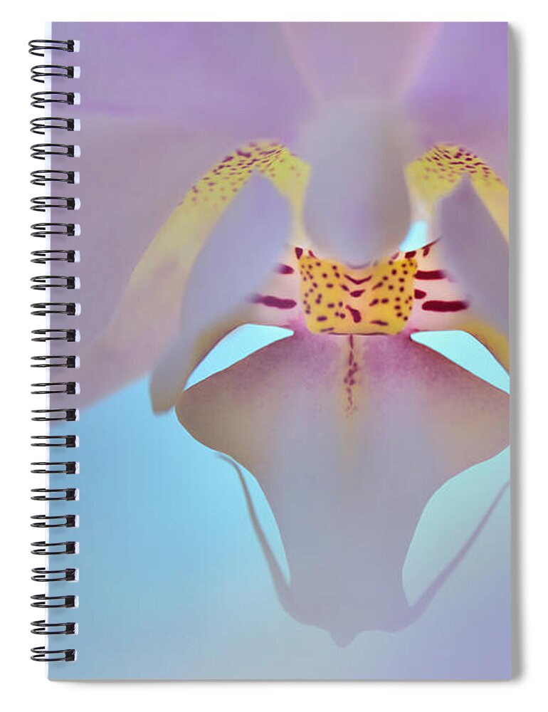 Lensbaby Omni Spiral Notebook featuring the photograph Dreamy Orchid by Carol Eade