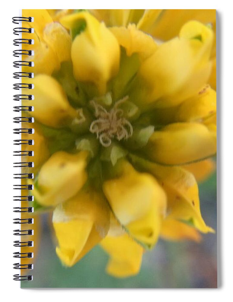 Yellow Rose Spiral Notebook featuring the photograph Dreamy Yellow Rose by Vivian Aumond