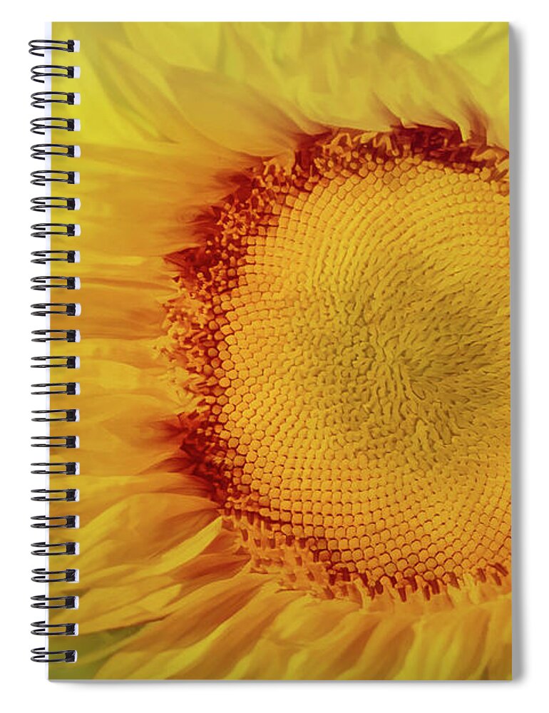 Countryside Spiral Notebook featuring the photograph Drenched in Sunlight by Don Schwartz
