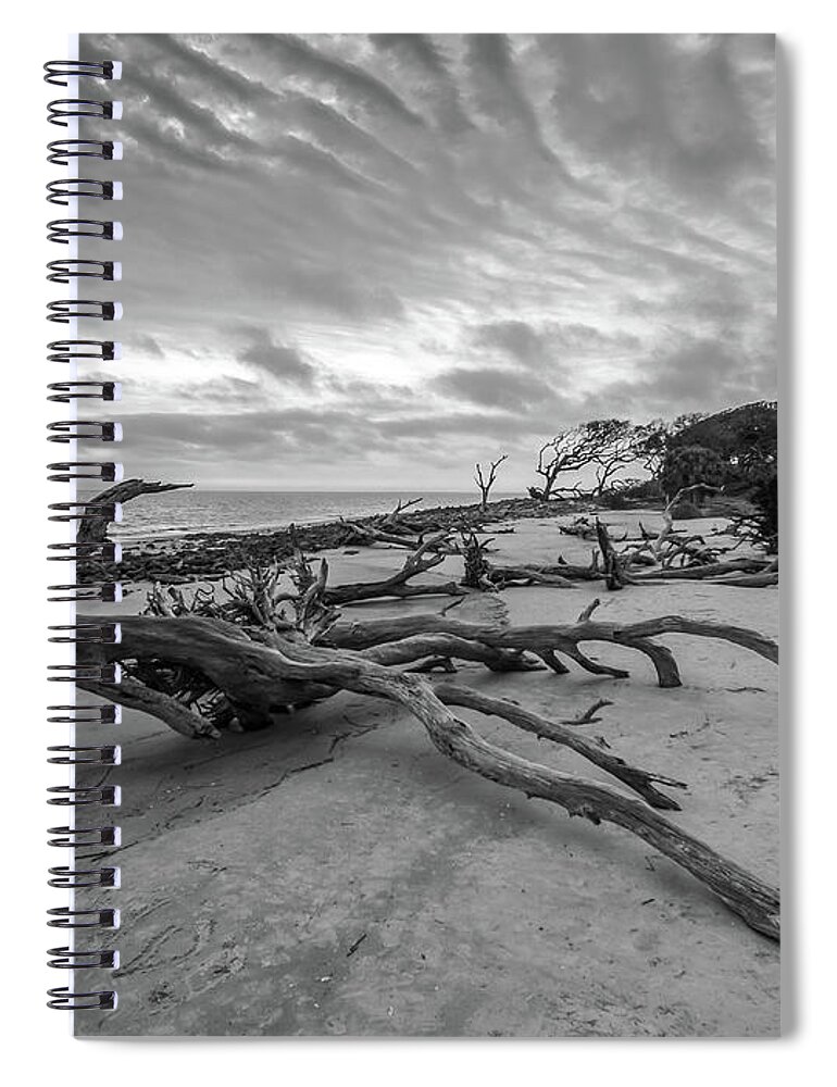 3-nature Spiral Notebook featuring the photograph Drift wood beach photograph by Louis Dallara