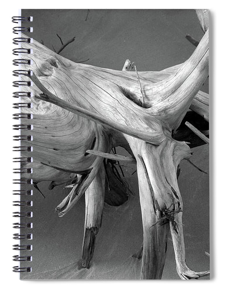Beach Spiral Notebook featuring the photograph Driftwood 2, Big Talbot Island by John Simmons
