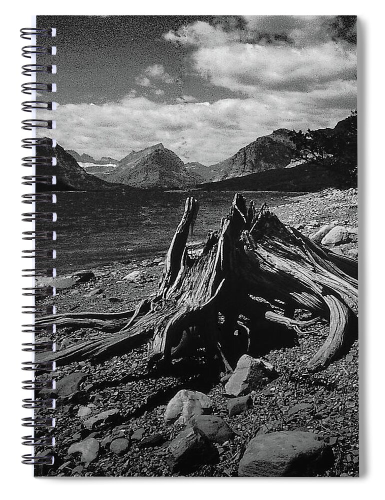 Canada Spiral Notebook featuring the photograph Driftwood at the Lake by S Katz