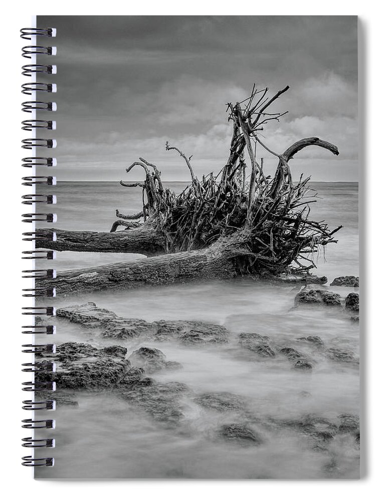 Black Spiral Notebook featuring the photograph Driftwood Beach in Black and White by Carolyn Hutchins