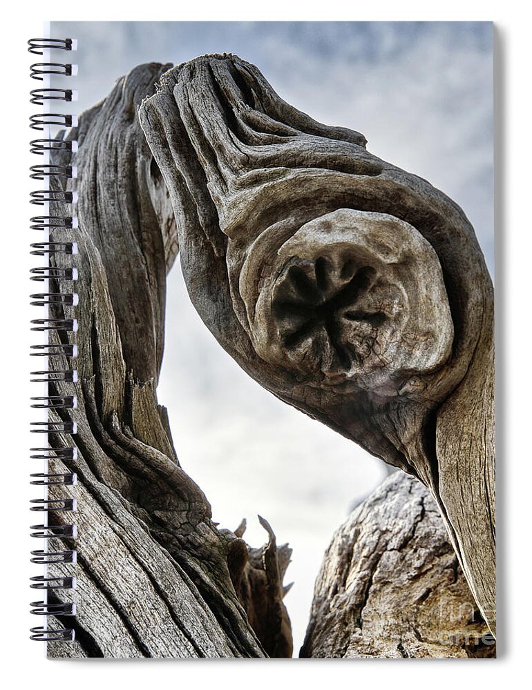 Driftwood Spiral Notebook featuring the photograph Driftwood by Rebecca Caroline Photography