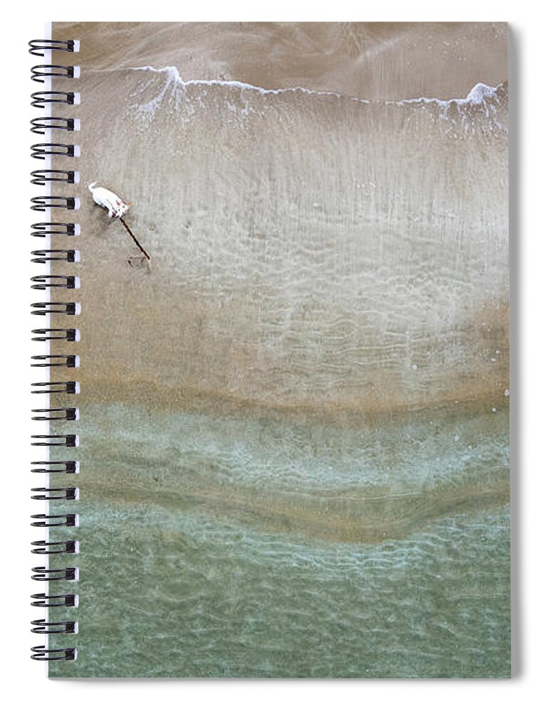 Animal Running Spiral Notebook featuring the photograph Drone aerial of white Dog running and playing at empty sandy beach by Michalakis Ppalis