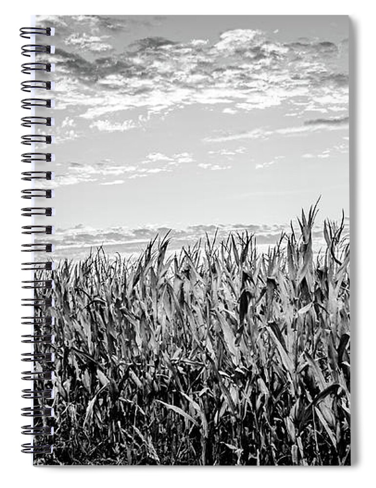 Agriculture Spiral Notebook featuring the photograph Dry Corn Field Crop by Mike Fusaro