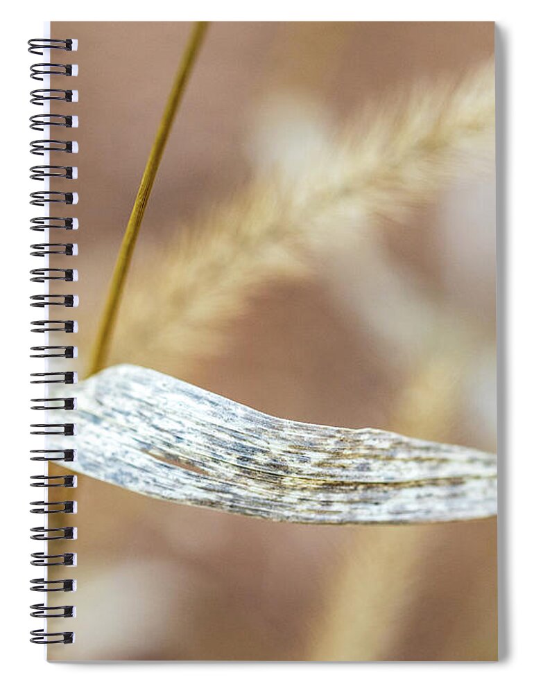 Nature Spiral Notebook featuring the photograph Dry Grass by Amelia Pearn