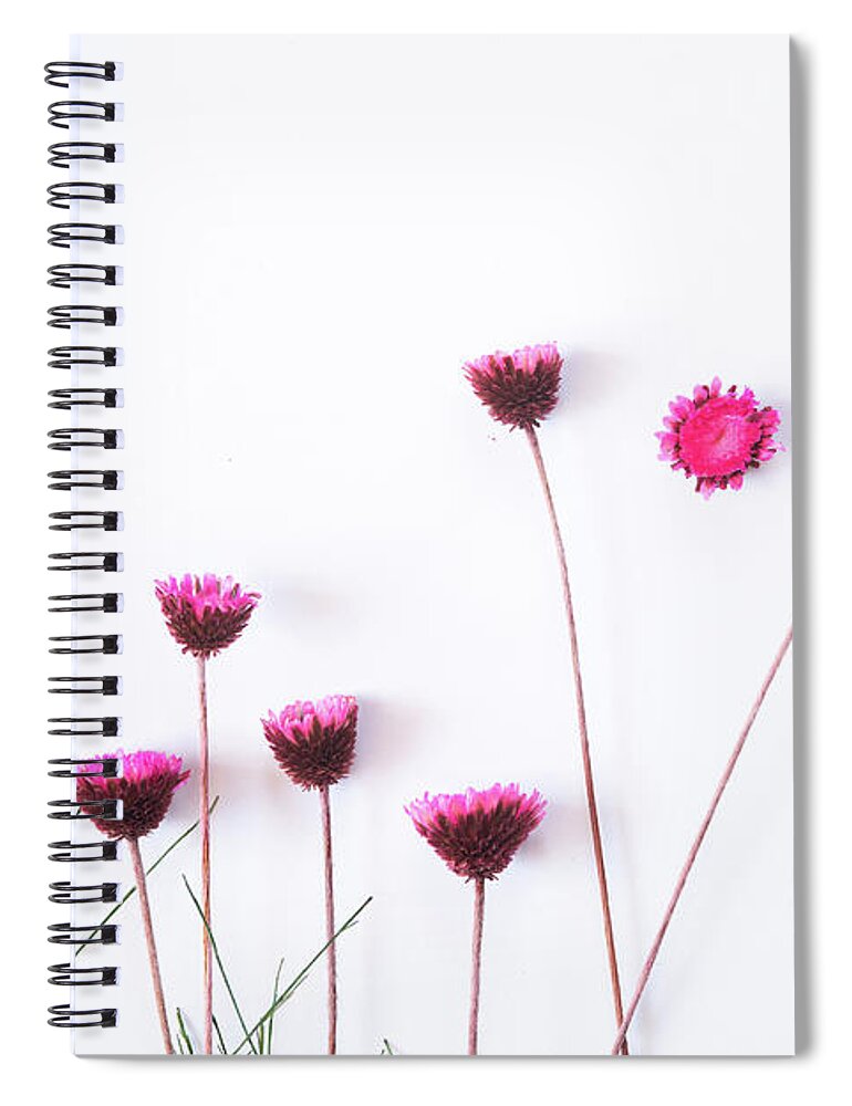 Dry Flowers Spiral Notebook featuring the photograph Dry purple floral bouquet on white background. by Michalakis Ppalis