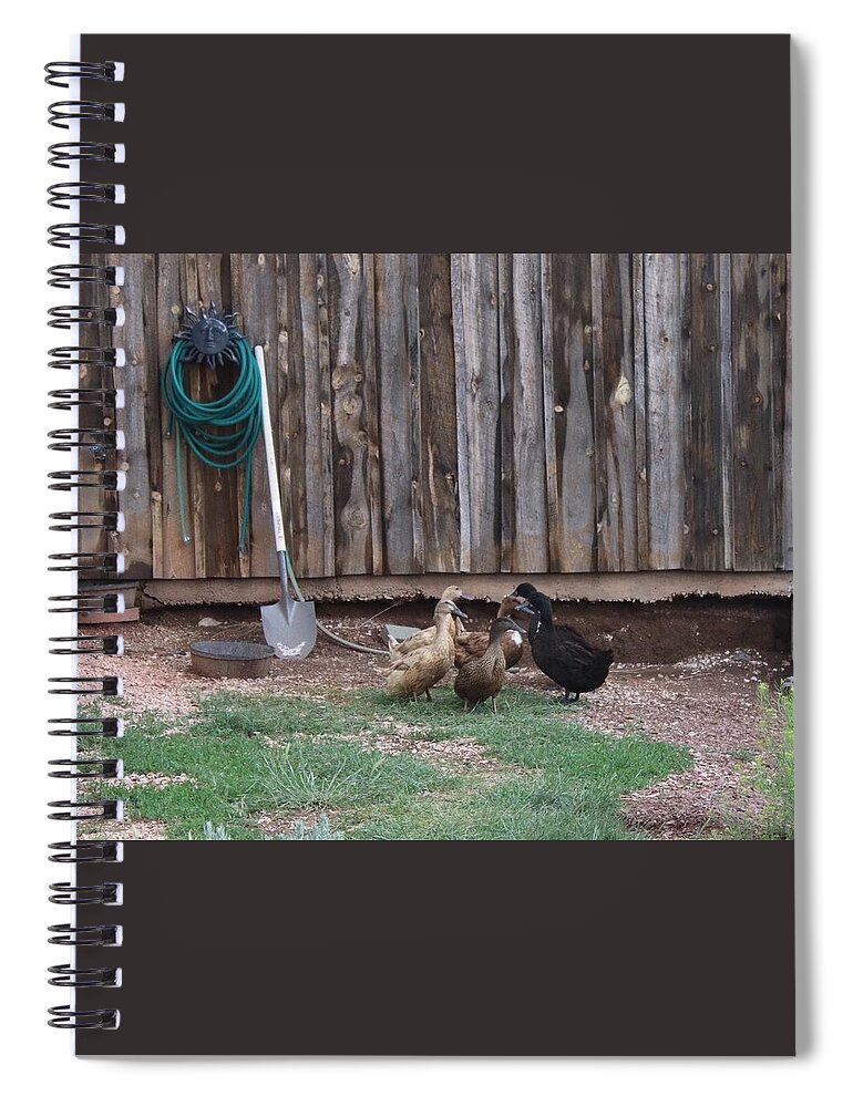 Ducks Spiral Notebook featuring the photograph Duck discussion by Yvonne M Smith