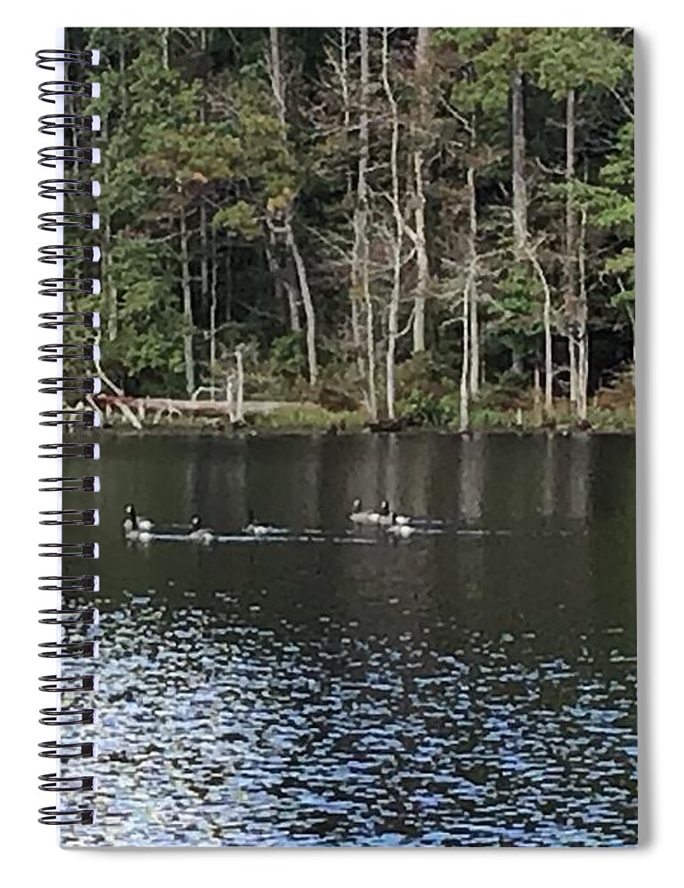 Four H Club Spiral Notebook featuring the photograph Ducks in Pond by Catherine Wilson