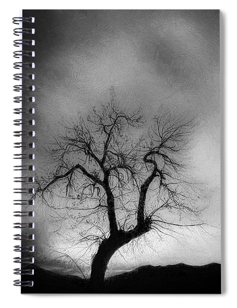 Tree Spiral Notebook featuring the digital art Dusk Falls Over Silent Eyes - # 3 by Don DePaola