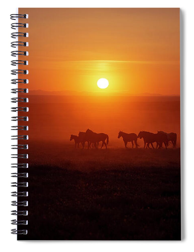 Horse Spiral Notebook featuring the photograph Dusky Orange Wild Horse Sunset by Dirk Johnson
