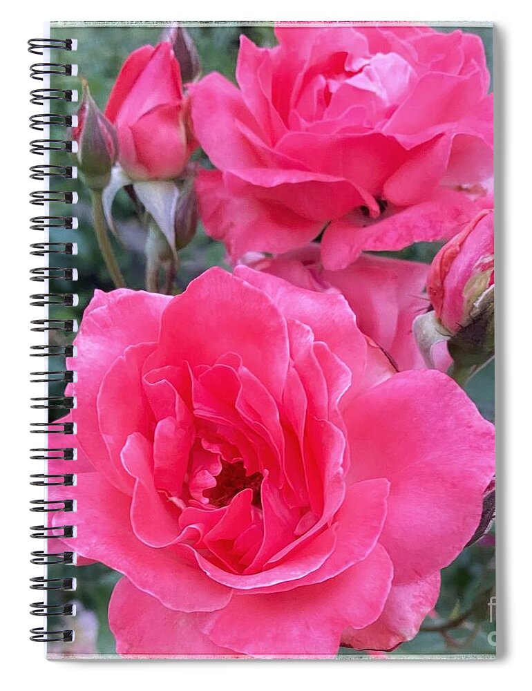 Pink Spiral Notebook featuring the photograph Dusty Rose by Wendy Golden