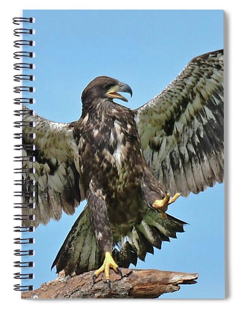Swfl Spiral Notebook featuring the photograph E16 by Liz Grindstaff