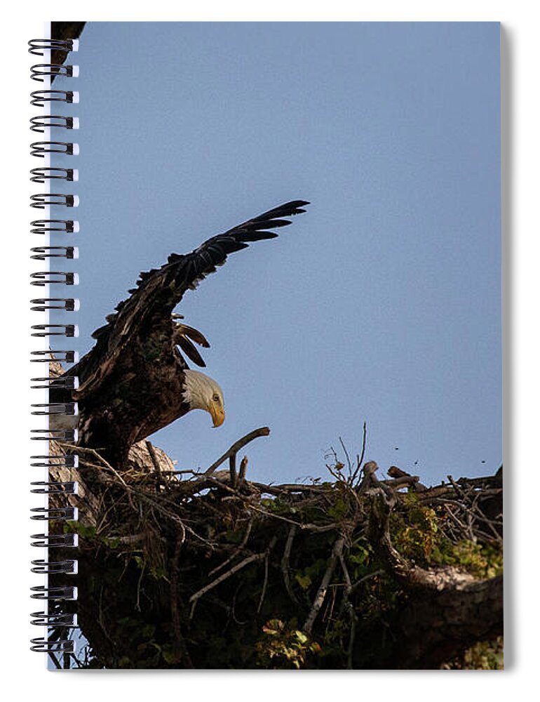 Bird Spiral Notebook featuring the photograph Eagle 2020-13 by Les Greenwood