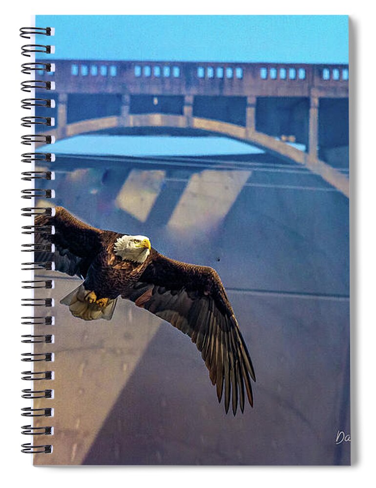Eagle Spiral Notebook featuring the photograph Eagle at the Dam by David Wagenblatt