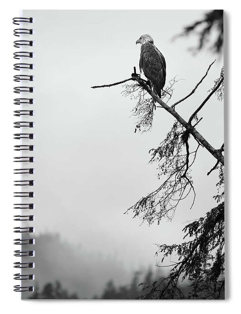  Spiral Notebook featuring the photograph Eagle Black and White by Michael Rauwolf