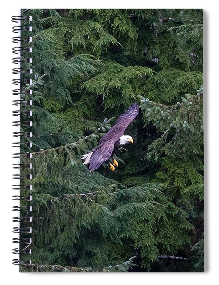 Bald Eagle Spiral Notebook featuring the photograph Eagle in Flight by Kevin Craft
