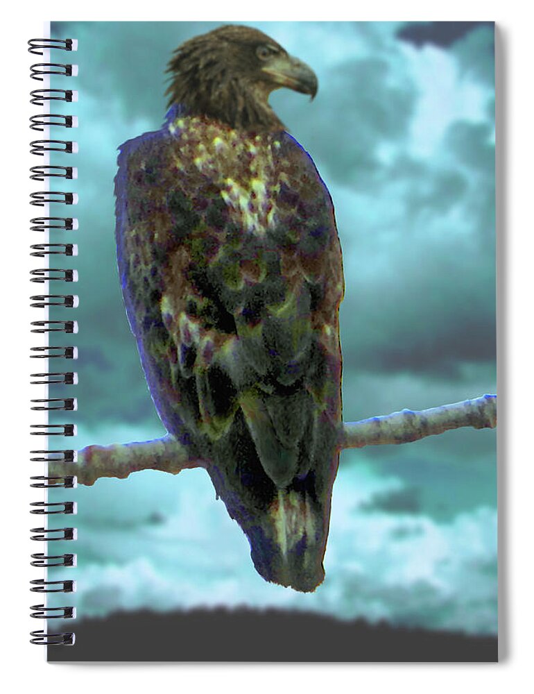 Eagle Spiral Notebook featuring the digital art Eagle, Juvenile by Robert Bissett