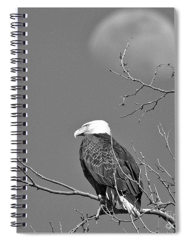 Eagle Spiral Notebook featuring the photograph Eagle Under The Rising Moon Black And White by Adam Jewell