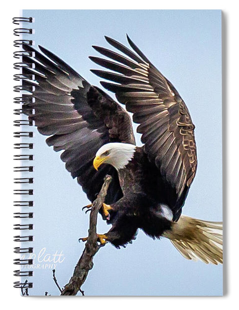 Eagle Spiral Notebook featuring the photograph Eagles Perch by David Wagenblatt