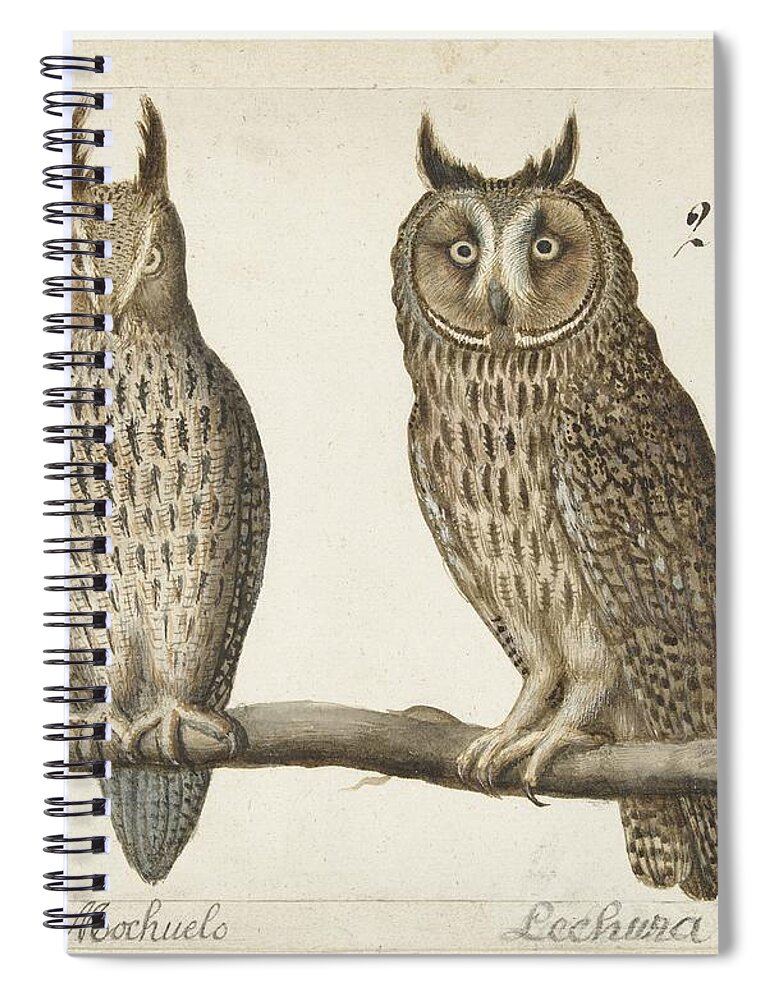 Long-eared Owl Spiral Notebook featuring the painting Eared Owl, Anonymous, 1560 by MotionAge Designs