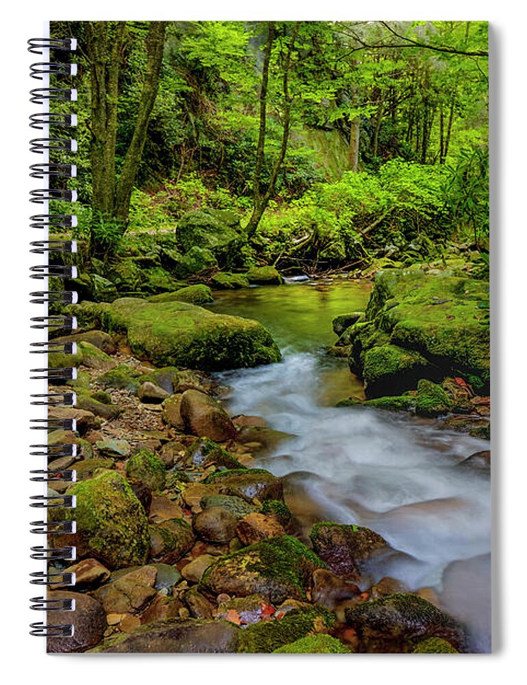 Morning Spiral Notebook featuring the photograph Early Morning on Rocky Fork by Shelia Hunt