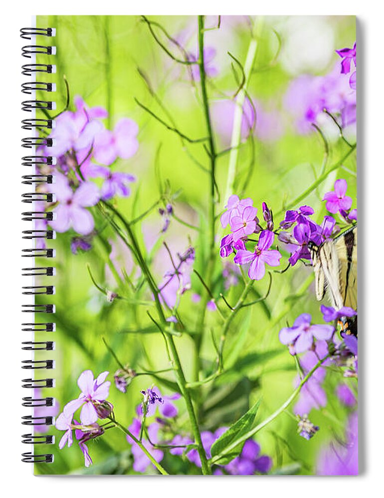 Animals Spiral Notebook featuring the photograph Eastern Tiger Swallowtail Butterfly 3 - Nature Photography by Amelia Pearn