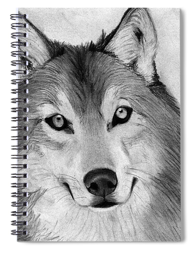 Drawing Set - Sketching and Charcoal Pencils - 100 Page Drawing