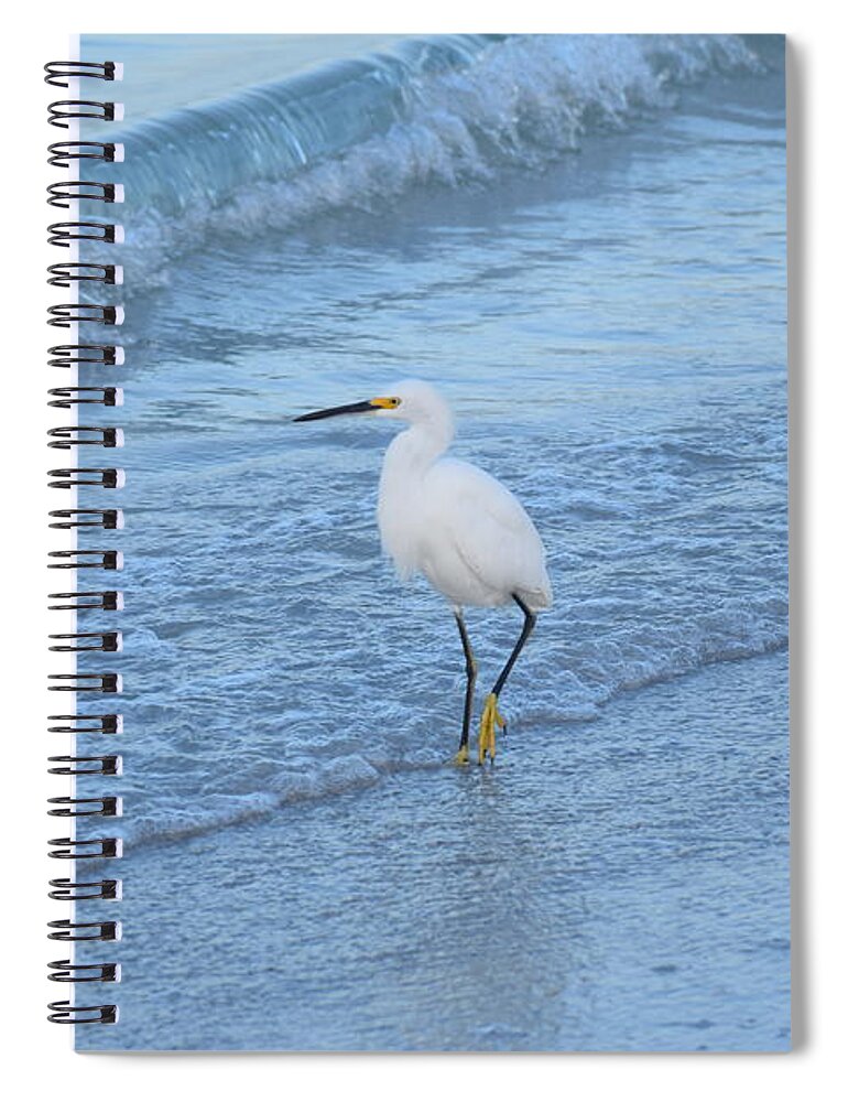 Egret Spiral Notebook featuring the photograph Egret 2747 by David Ragland