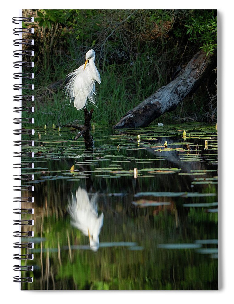 Egret Spiral Notebook featuring the photograph Egret, 4.18.22 by Brad Boland