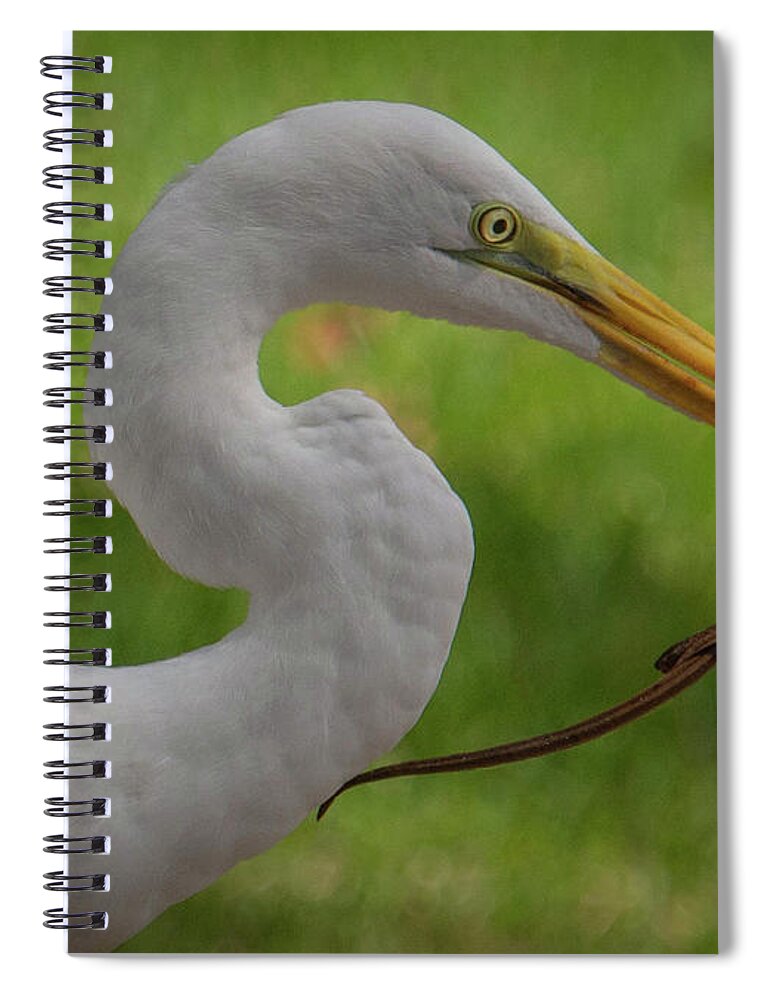 Nature Spiral Notebook featuring the photograph Egret capture by Barry Bohn