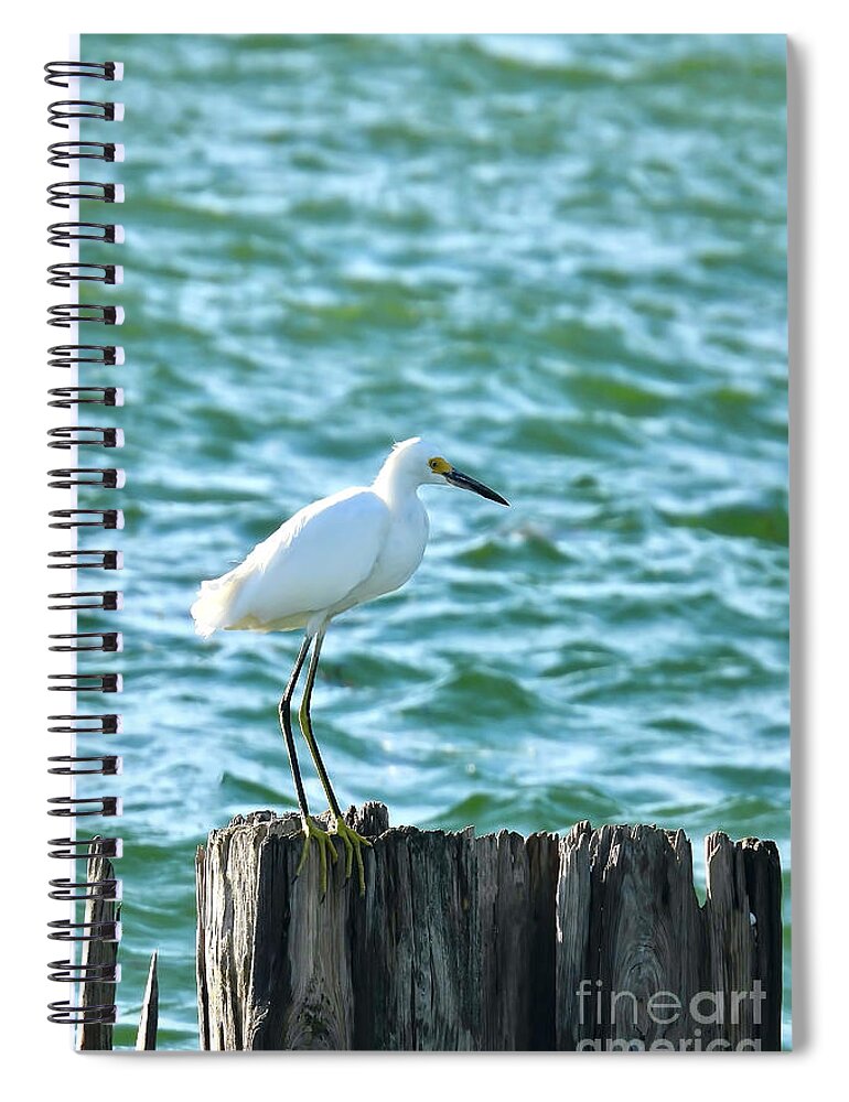Egret Spiral Notebook featuring the photograph Egret Perching by Beth Myer Photography