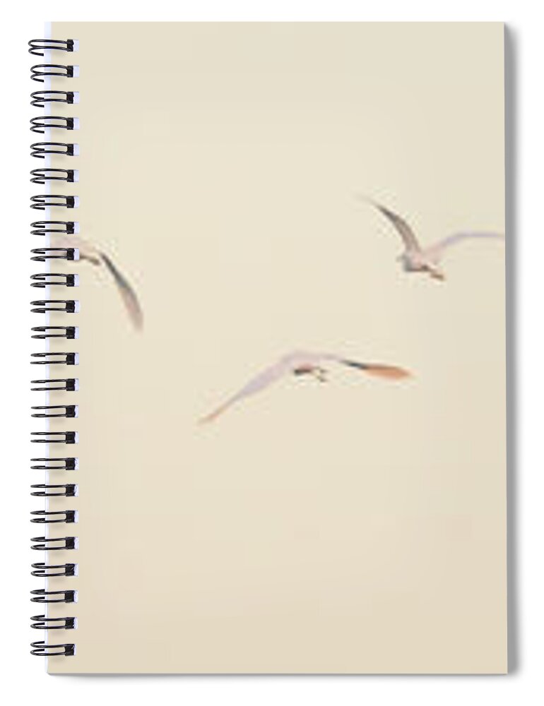 Egrets Spiral Notebook featuring the photograph Egrets 2770-010620-2 by Tam Ryan