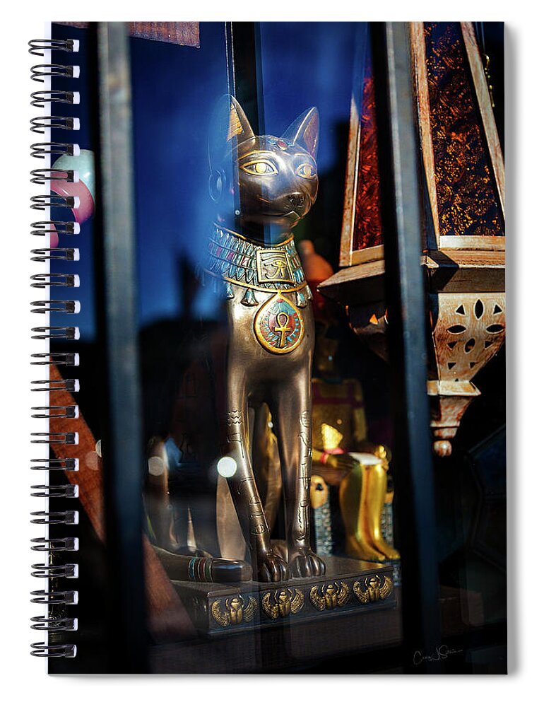 Egypt Spiral Notebook featuring the photograph Egyptian Cat by Craig J Satterlee