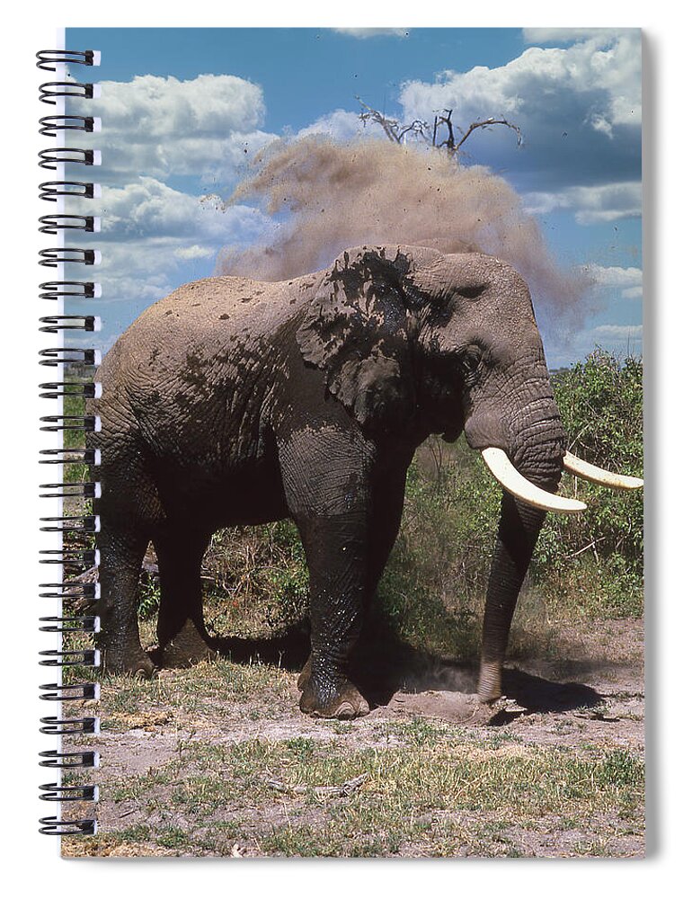 Africa Spiral Notebook featuring the photograph Elephant Dirt Bath by Russel Considine