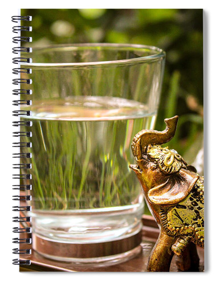 Elephant Spiral Notebook featuring the photograph Elephant Still Life by W Craig Photography