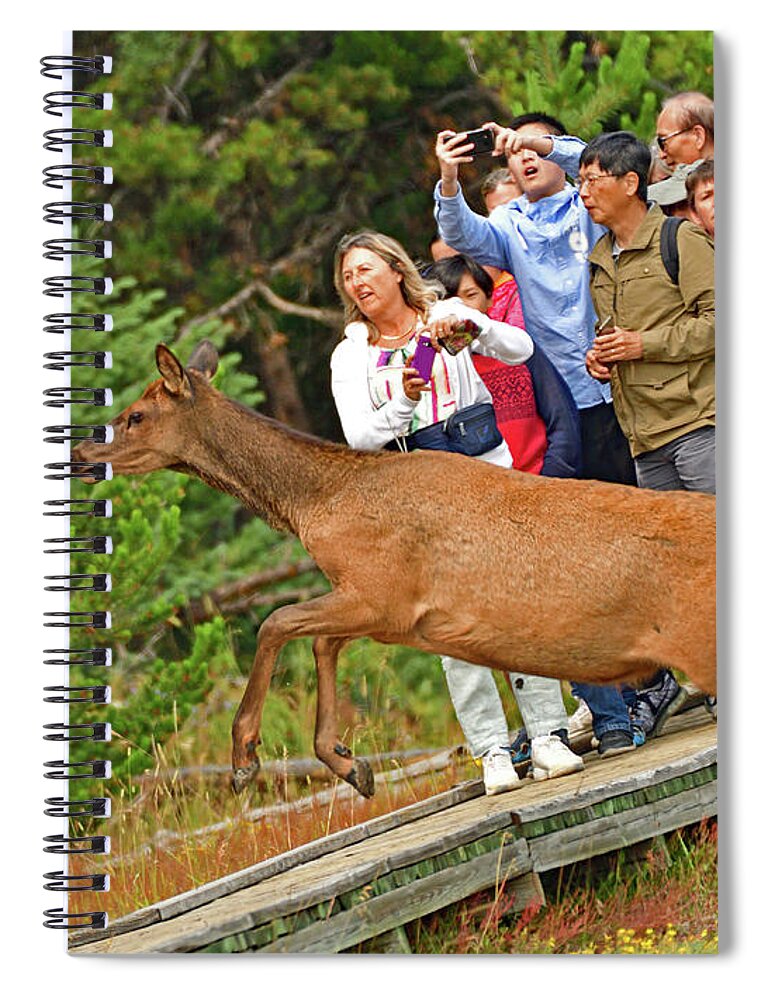 Elk Spiral Notebook featuring the photograph Elk In the Air by Amazing Action Photo Video