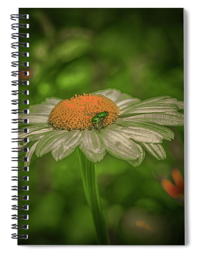 Elves Fly Spiral Notebook featuring the photograph Elves fly by Leif Sohlman